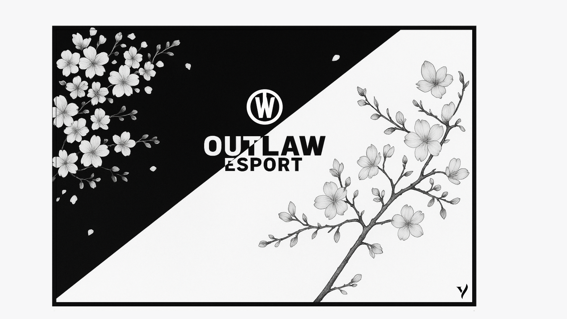 Tapis de souris Outlaw Esport